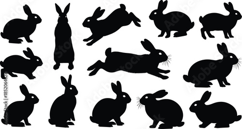 Black rabbit silhouette set animal illustration isolated on white background bunny poses vector design collection logo tattoo icon clipart bundle