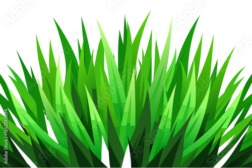 Vibrant green grass blades on white background