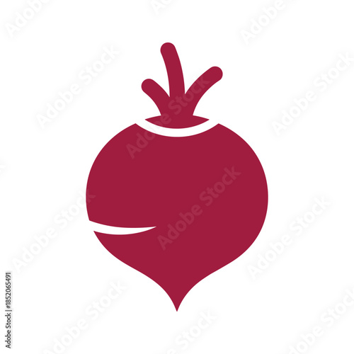 Illustration of a beetroot Vector