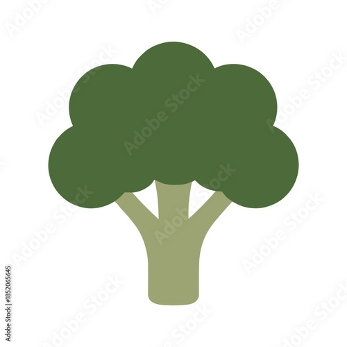 Fresh broccoli floret Vector