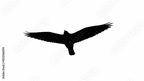 Silhouette of a bird of prey in flight with wings spread wide.