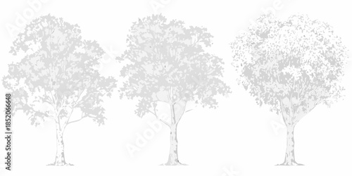 Three stylized trees with varying canopy shapes in a grayscale palette