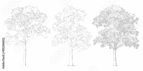 Three detailed trees with lush foliage presented in a grayscale illustration style
