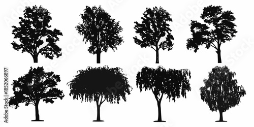 Silhouette collection of various tree types against a plain white background