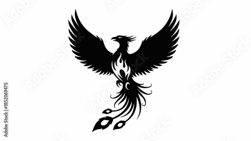 silhouette of a girl