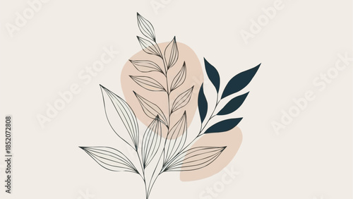 Elegant botanical line art with abstract shapes.