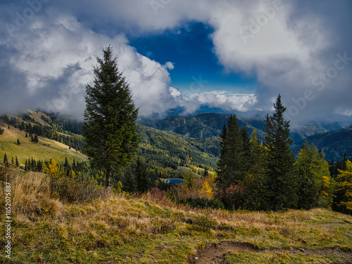 Beautiful Autumn day on a Hohe Veitsch mountain in Alps