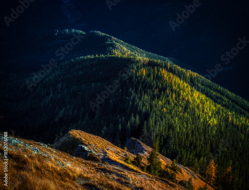 View  from a Hohe Veitsch mountain massive in Alps on a autumn day