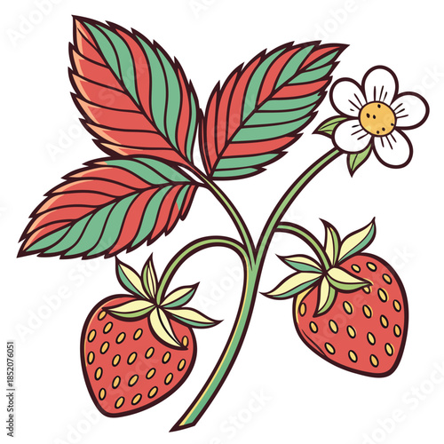 Vector illustration of strawberries