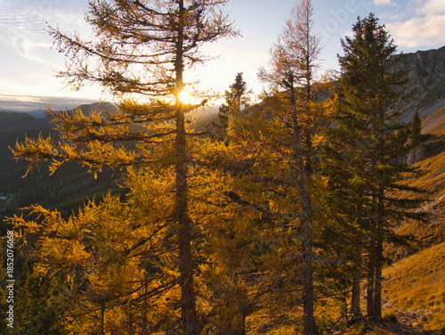 Beautiful autumn day on a Hohe Veitsch mountain in Alps