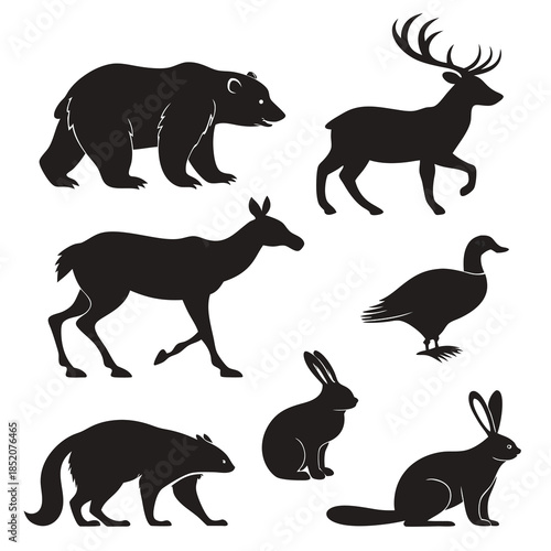Animals silhouettes vector
