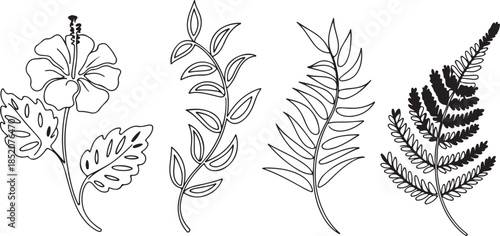 A simple black and white illustration of natural elements, popular for use in modern design for print, web, and branding.