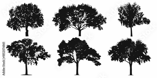 A collection of silhouetted trees with varying shapes and foliage density