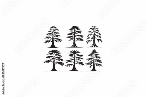 Bald Cypress wood tree vector silhouettes black image.