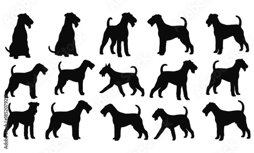 Vector silhouettes of horses and dogs set