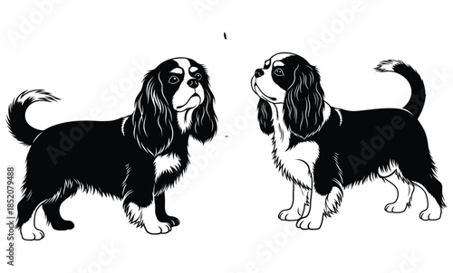 Black and white dog illustration vector of a cute sitting puppy