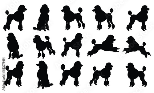Vector silhouettes of children and people playing sports and having fun
