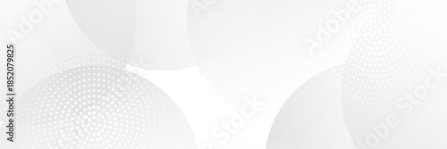 Simple lines grey background with dynamic circle lines art modern nice. Eps 10