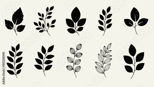 Collection of Various Botanical Leafy Branch Silhouettes and Illustrations.
