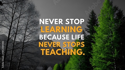 Never stop learning because life never stops teaching quote