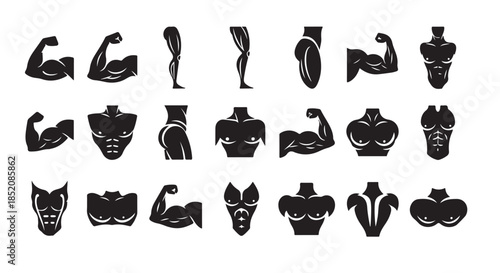 Black silhouettes of muscular bodies and body parts for fitness and gym concepts