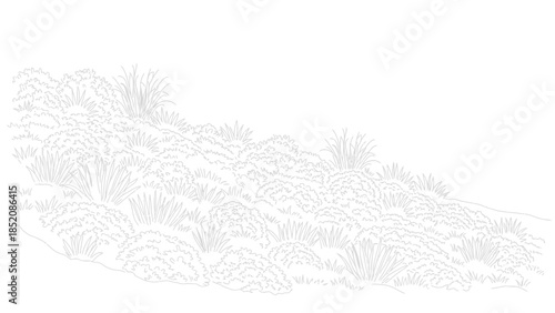 Outline drawing of dense ground cover shrubs and ornamental grasses on a gentle slope