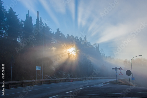 Raggi tra la nebbia 