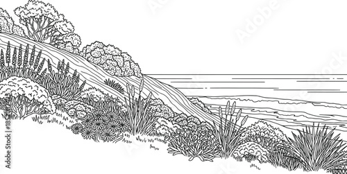 Black and white line art illustration depicting coastal vegetation on a hillside overlooking the ocean horizon