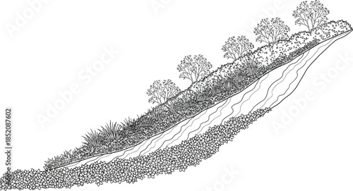 Diagram illustrating successful slope stabilization techniques using layered vegetation and riprap drainage protection