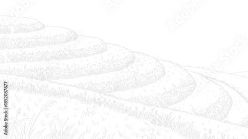 Line art sketch of winding terraced rice fields filled with tall grass and wildflowers against a white sky