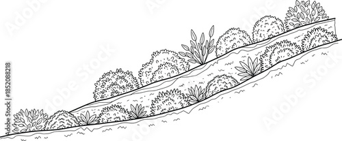 Hand drawn black and white sketch illustrating erosion control techniques using various shrubs on a steep slope