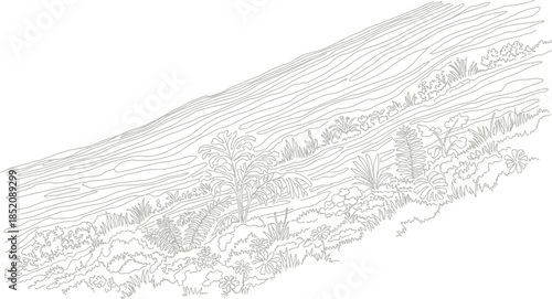 Detailed line art illustration of a steep tropical hillside covered with contour lines and lush vegetation