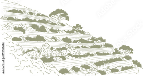 Hand drawn illustration of agricultural terraces built into a steep hillside for sustainable farming and landscape architecture