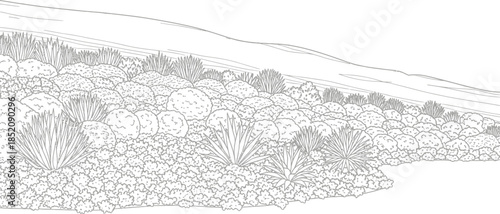 Black and white line drawing illustration of a lush xeriscape garden planting with agave and dense shrubs