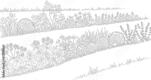 Detailed black and white line art illustration of tiered herb garden planting arrangement for coloring