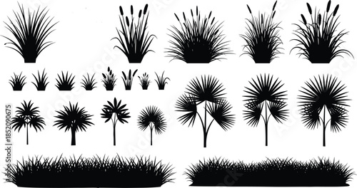 Black, grass, silhouette, set, wild, bullrush, cattail, meadow, nature, plant, reed, garden, swamp, field, flora, vector, illustration, isolated, icons, landscape.