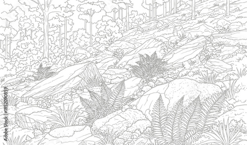 Detailed black and white line art coloring page featuring a rocky forest hillside with abundant ferns and trees