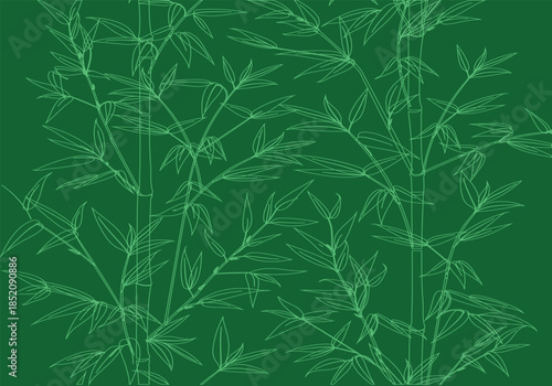 Green Bamboo Pattern. Nature Background. A floral vector design of tropical leaves, tall stalks, and asian plants for zen wallpaper, spa decoration, and botanical textile print.