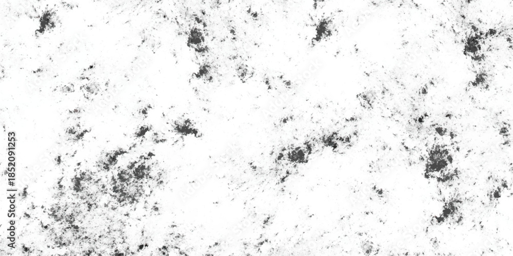 Obraz premium Grunge black and white pattern. Monochrome particles abstract texture. smudges, cracks, scuffs, scratches, chips to print. Vintage design elements for creative design 