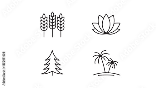 Minimalist botanical elements in simple line art style with monochromatic color on white background for graphic design