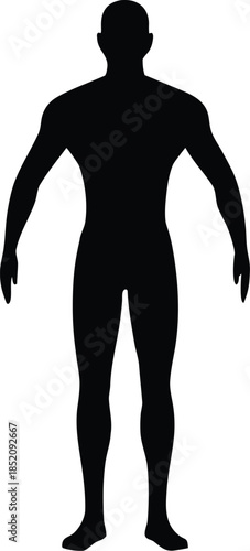 Male human body belonging to an adult man silhouette vector isolated design