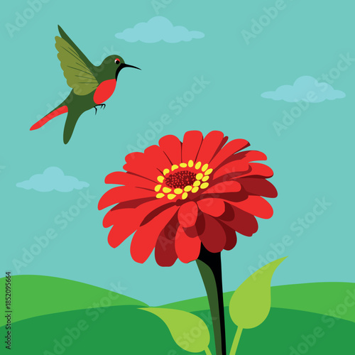 A stunning-photograph-of-zinnia-flowers 