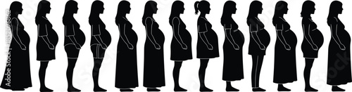 Pregnant, woman, silhouette, sequence, maternity, pregnancy, stages, female, body, transformation, motherhood, prenatal, health, concept, isolated, black, illustration, side, view, 