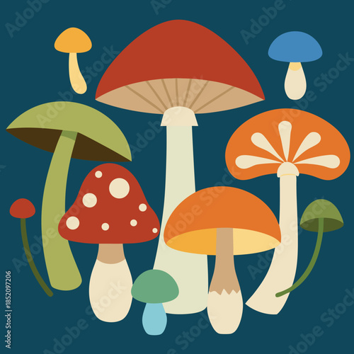 Different-types-of-mushrooms. 