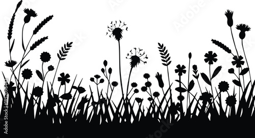 wildflower field silhouette with diverse wild plants and grass stems