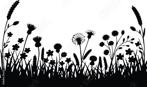 wildflower meadow silhouette of grasses stems seed heads botanical