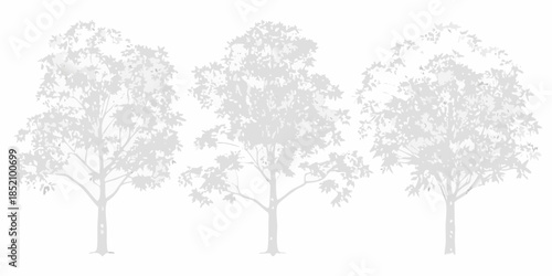 Simple grayscale silhouettes of three leafy trees against a white background