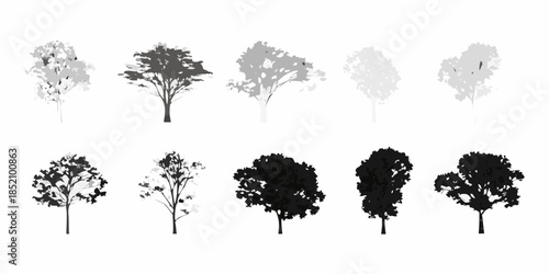 Variations of tree silhouettes and foliage ranging from light to dark shades
