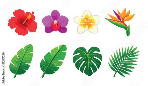 Vibrant tropical flowers and lush green leaves on colorful background