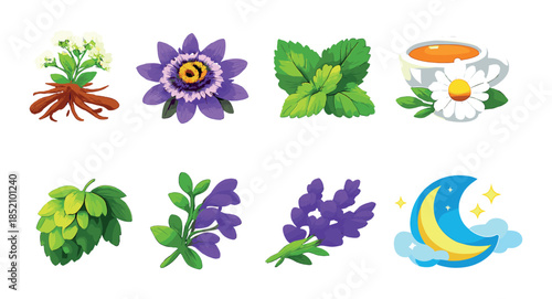 Herbal icons: chamomile, mint, passionflower, lavender, hops, herbal tea, nature symbols